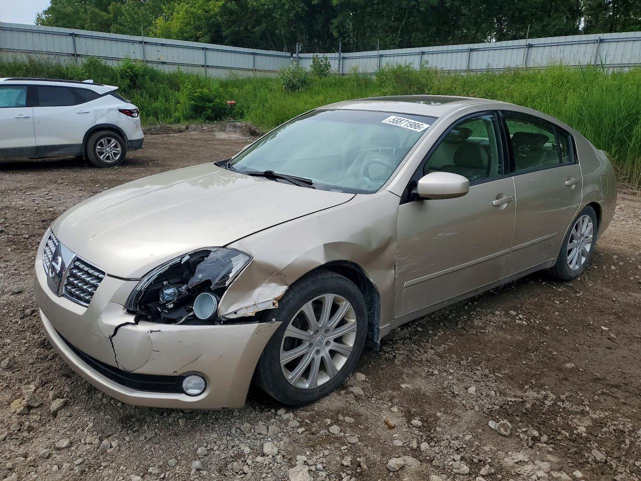 2005 Nissan Maxima 3.5 Se Tan vin: 1N4BA41E55C839547