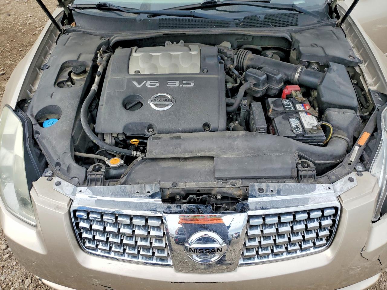 2005 Nissan Maxima 3.5 Se Tan vin: 1N4BA41E55C839547