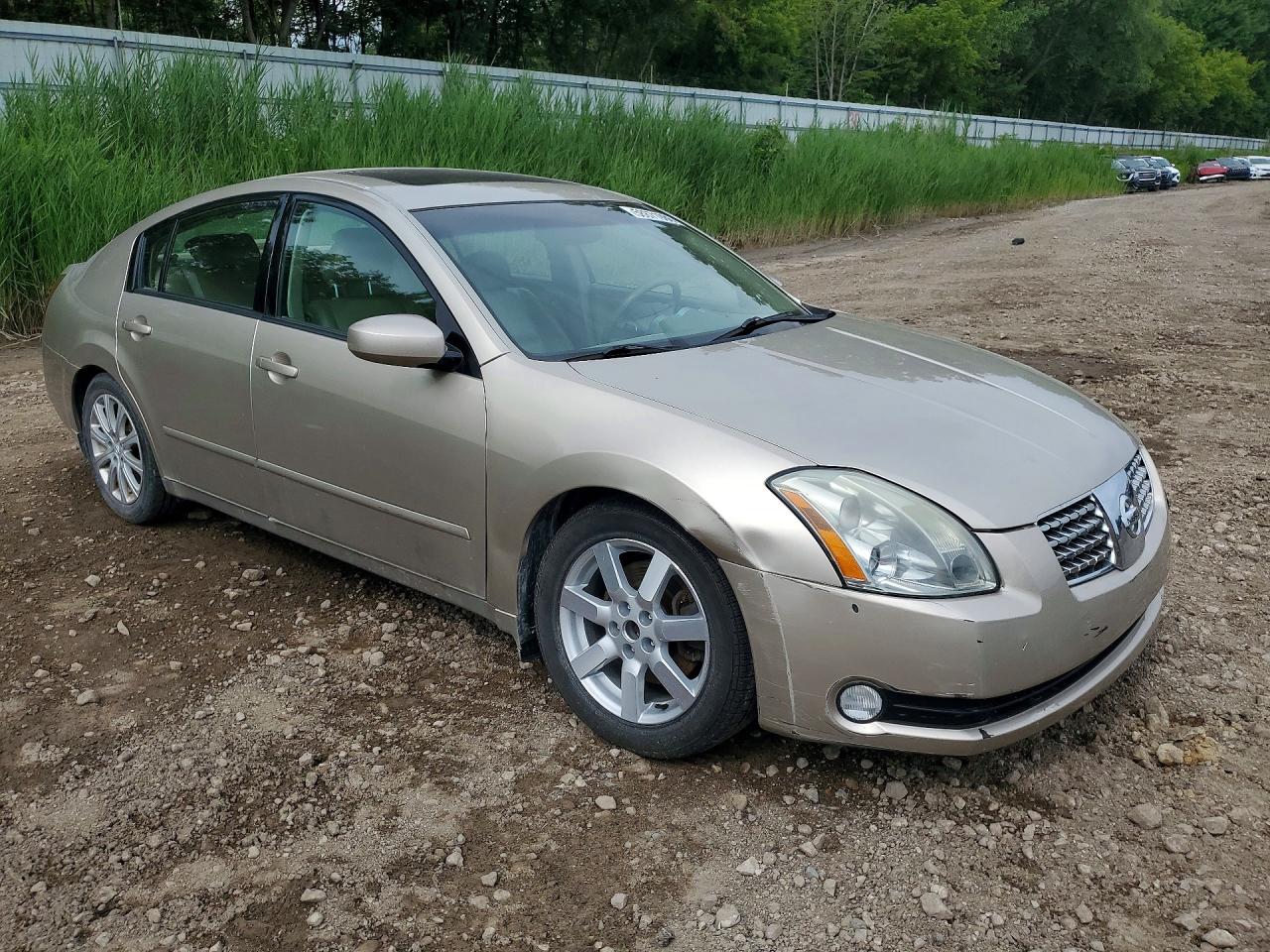 2005 Nissan Maxima 3.5 Se Tan vin: 1N4BA41E55C839547