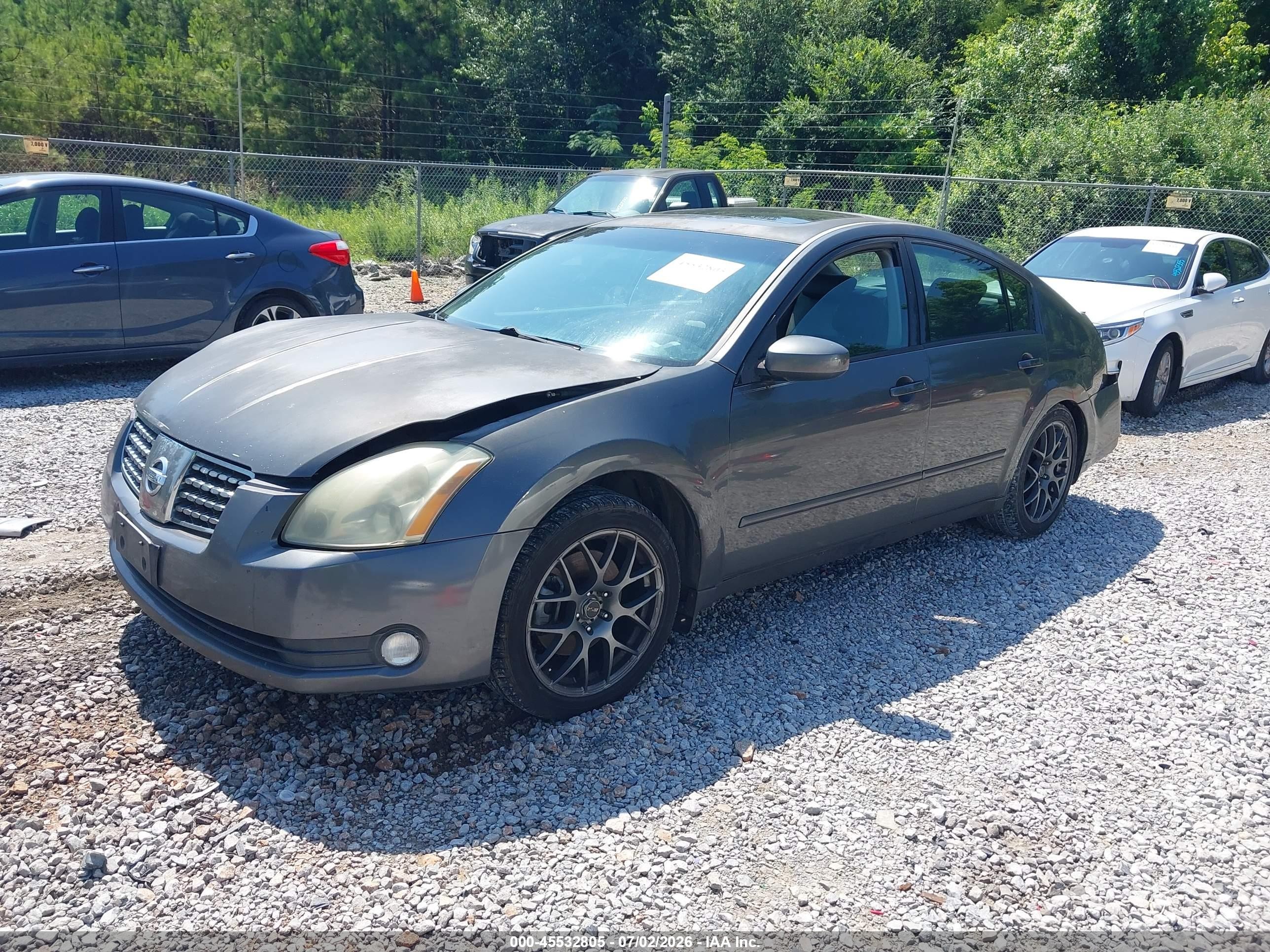 2006 Nissan Maxima 3.5 Se Gray vin: 1N4BA41E56C844488