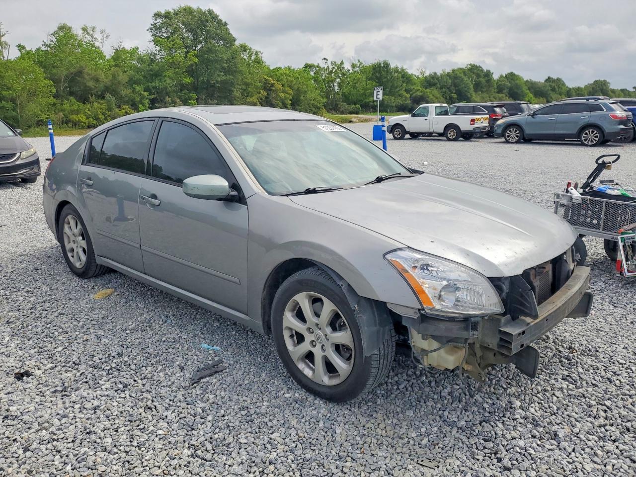2008 Nissan Maxima 3.5 Se Gray vin: 1N4BA41E58C823420