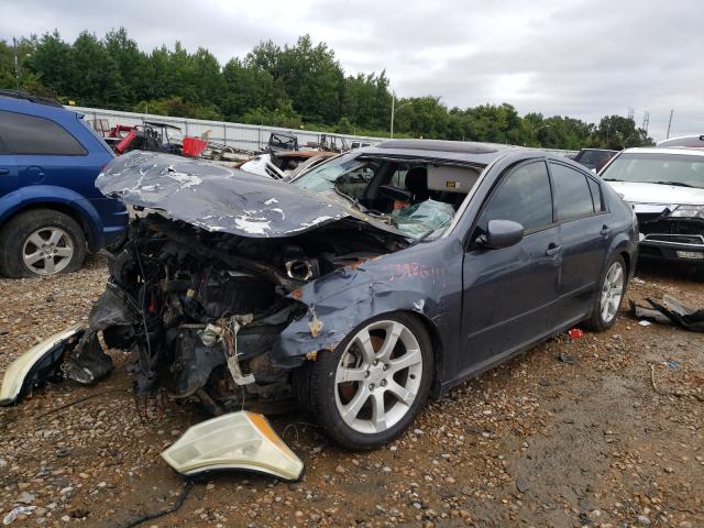 2008 Nissan Maxima Gray vin: 1N4BA41E58C828326