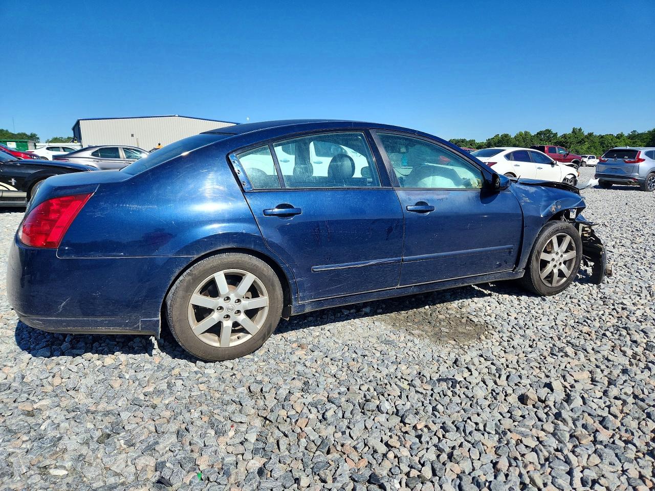 2004 Nissan Maxima 3.5 Se Синий vin: 1N4BA41E64C829950