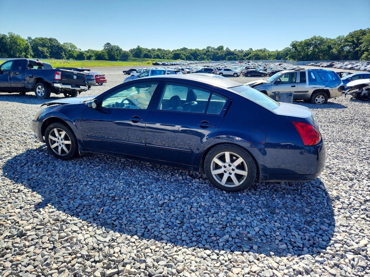 2004 Nissan Maxima 3.5 Se Синий vin: 1N4BA41E64C829950