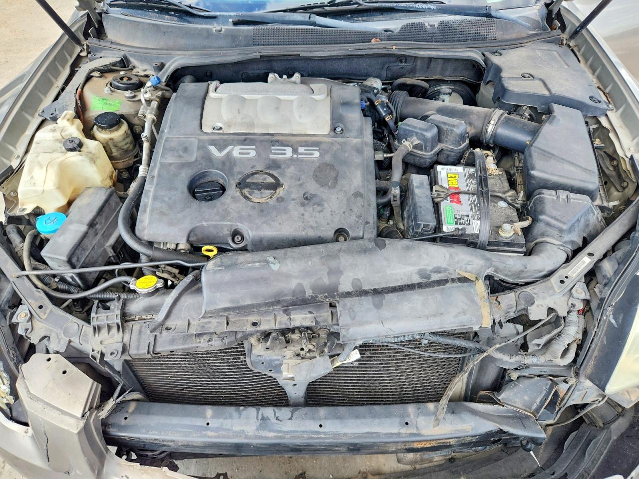2004 Nissan Maxima 3.5 Se Желто-коричневый vin: 1N4BA41E64C864052