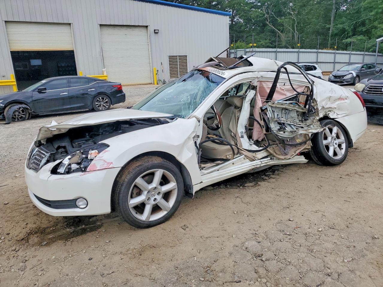 2004 Nissan Maxima 3.5 Se White vin: 1N4BA41E64C874516