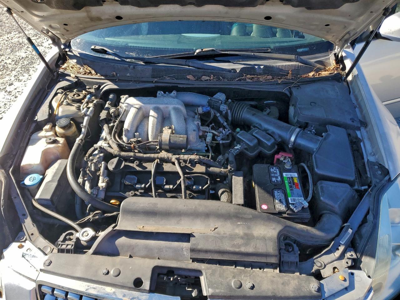 2005 Nissan Maxima Se Silver vin: 1N4BA41E65C801745