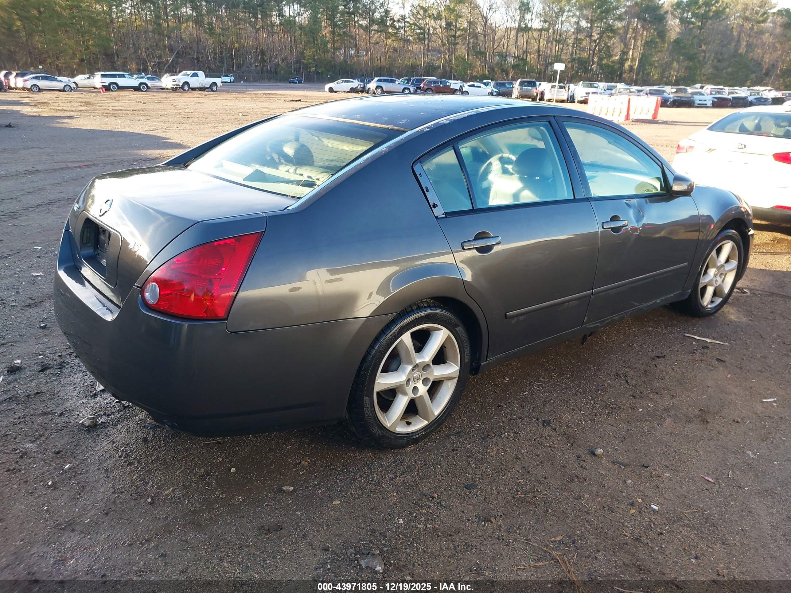 2005 Nissan Maxima 3.5 Se Gray vin: 1N4BA41E65C811563