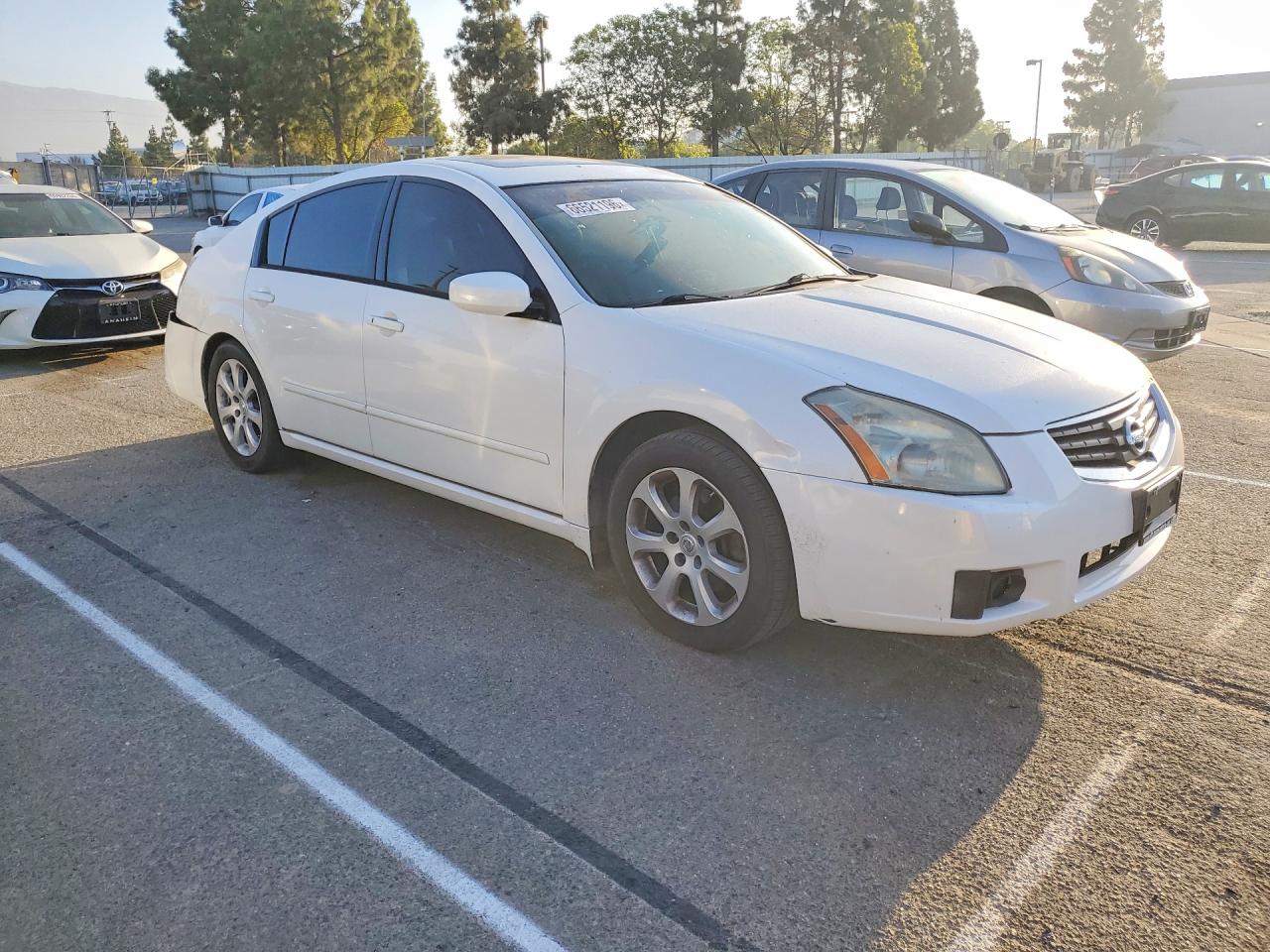 2007 Nissan Maxima 3.5 Se White vin: 1N4BA41E67C850799
