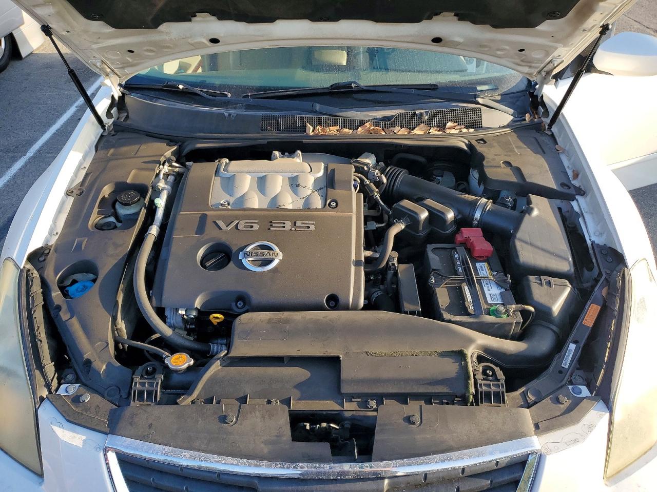2007 Nissan Maxima 3.5 Se White vin: 1N4BA41E67C850799