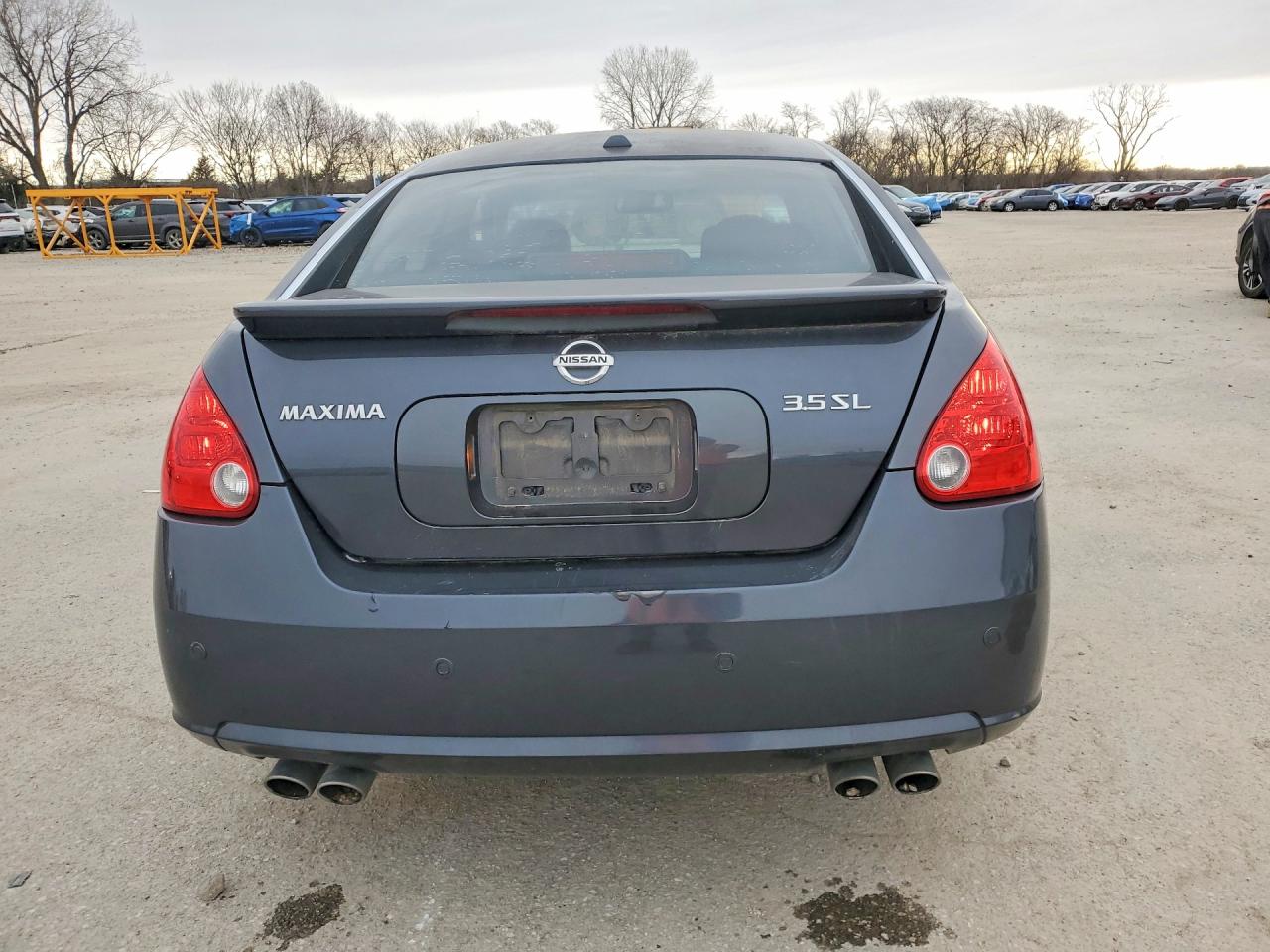 2008 Nissan Maxima Gray vin: 1N4BA41E68C810711