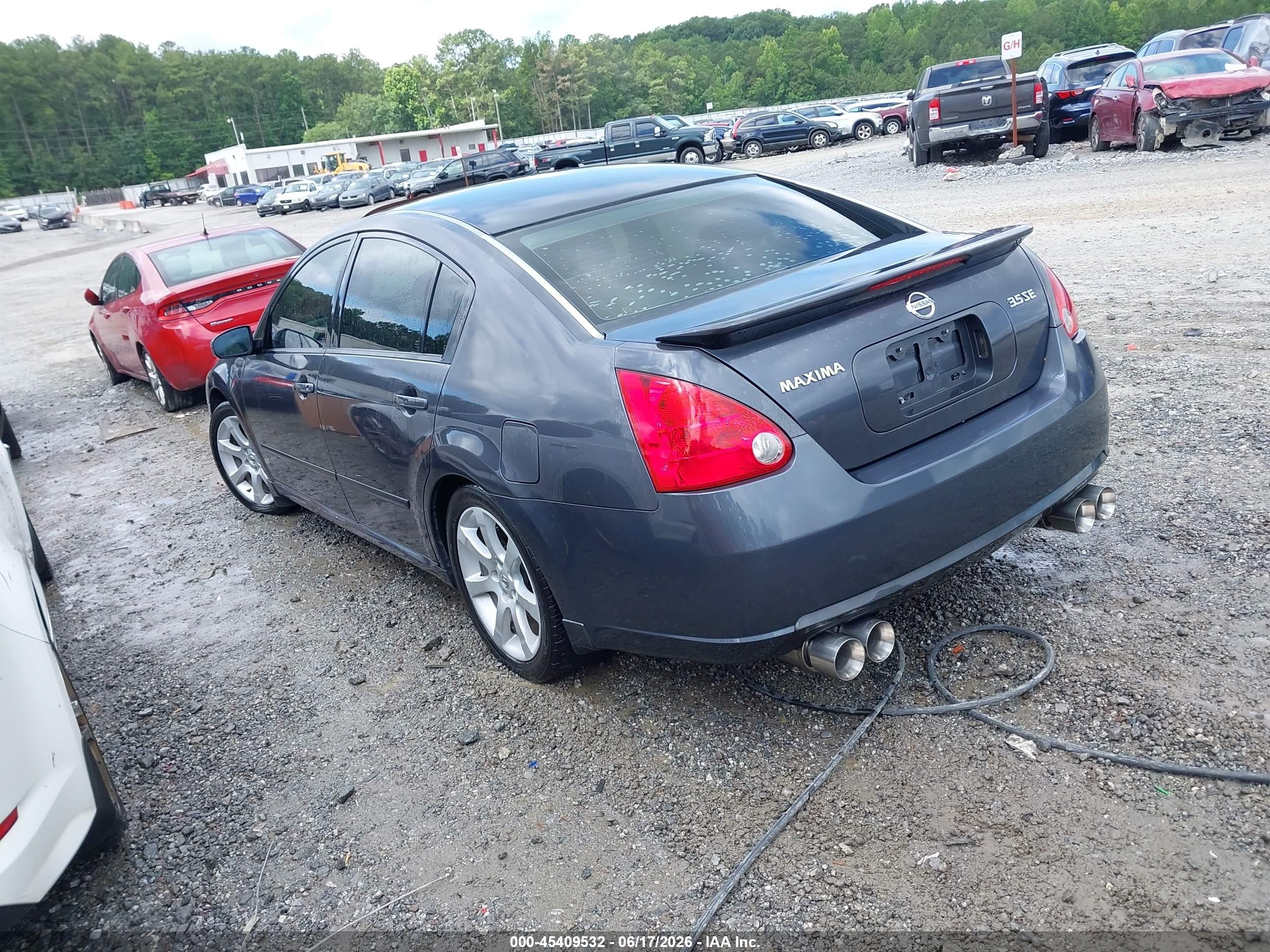 2008 Nissan Maxima 3.5 Se Gray vin: 1N4BA41E68C815553
