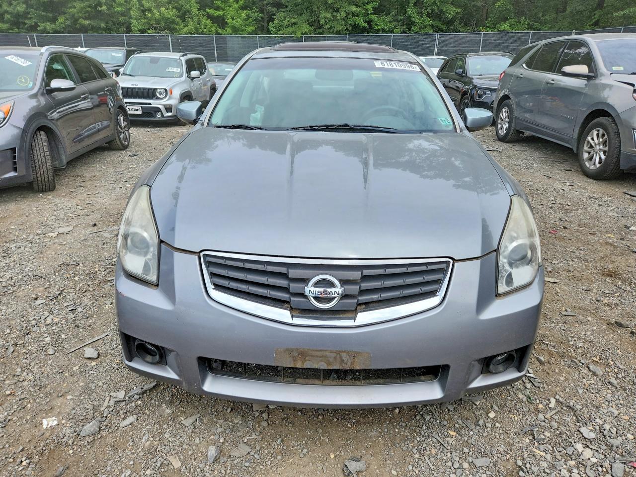 2008 Nissan Maxima 3.5 Se Silver vin: 1N4BA41E68C830795