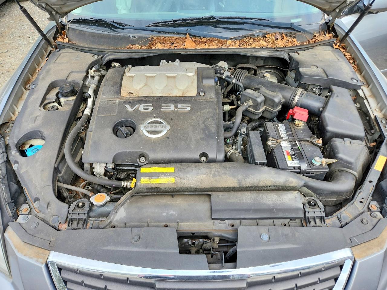 2008 Nissan Maxima 3.5 Se Silver vin: 1N4BA41E68C830795