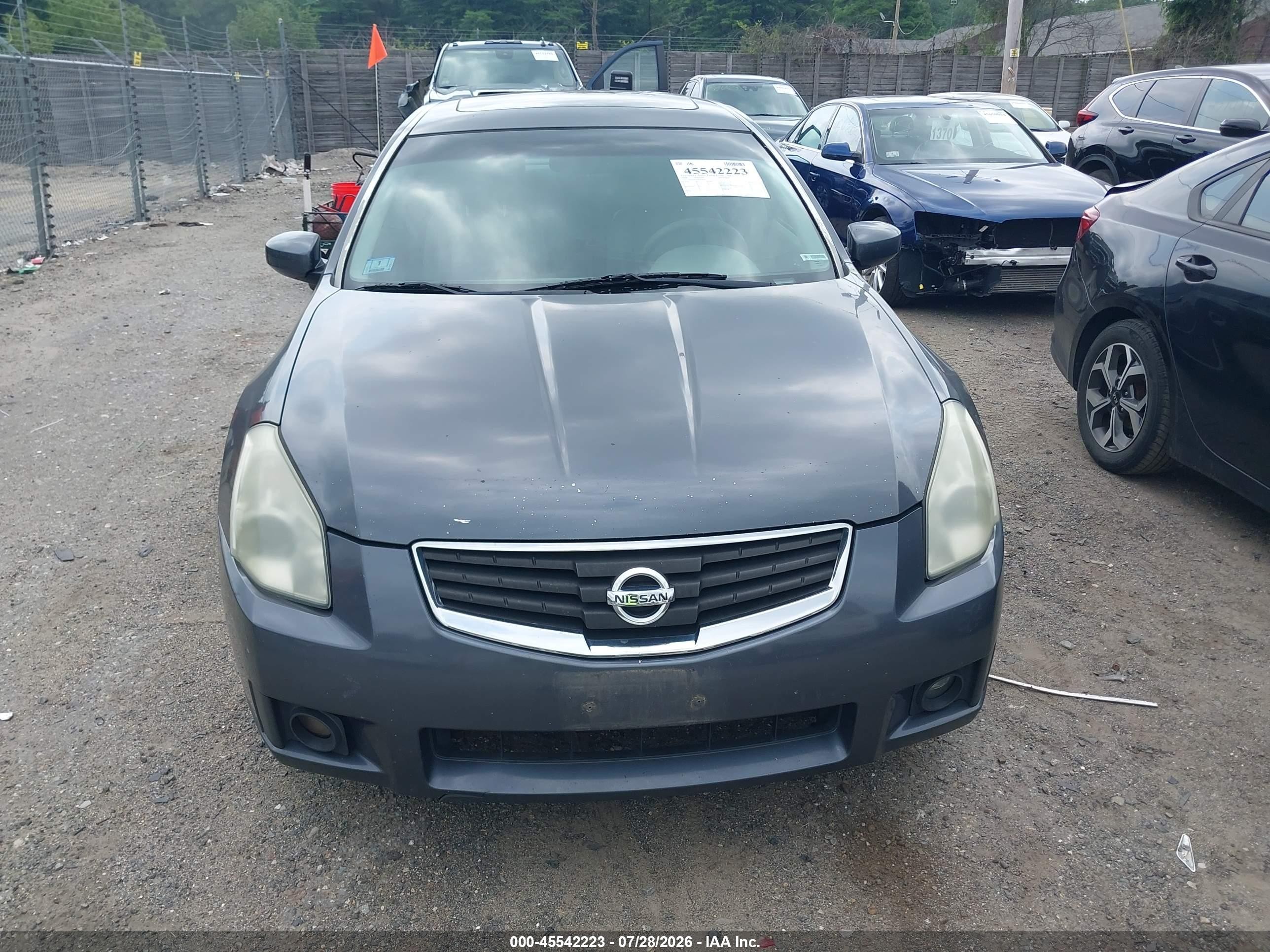 2008 Nissan Maxima 3.5 Se Gray vin: 1N4BA41E68C839030