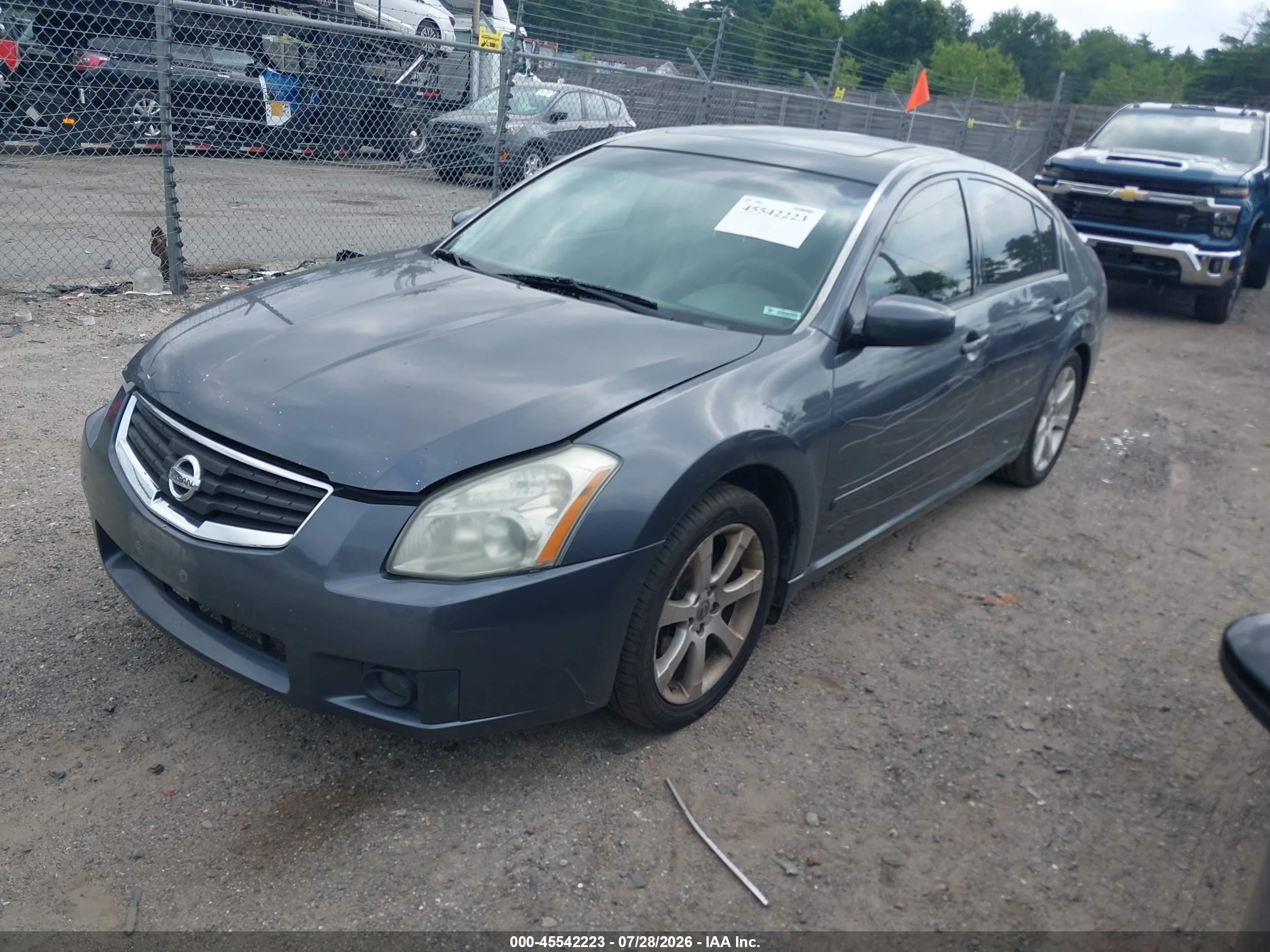 2008 Nissan Maxima 3.5 Se Gray vin: 1N4BA41E68C839030