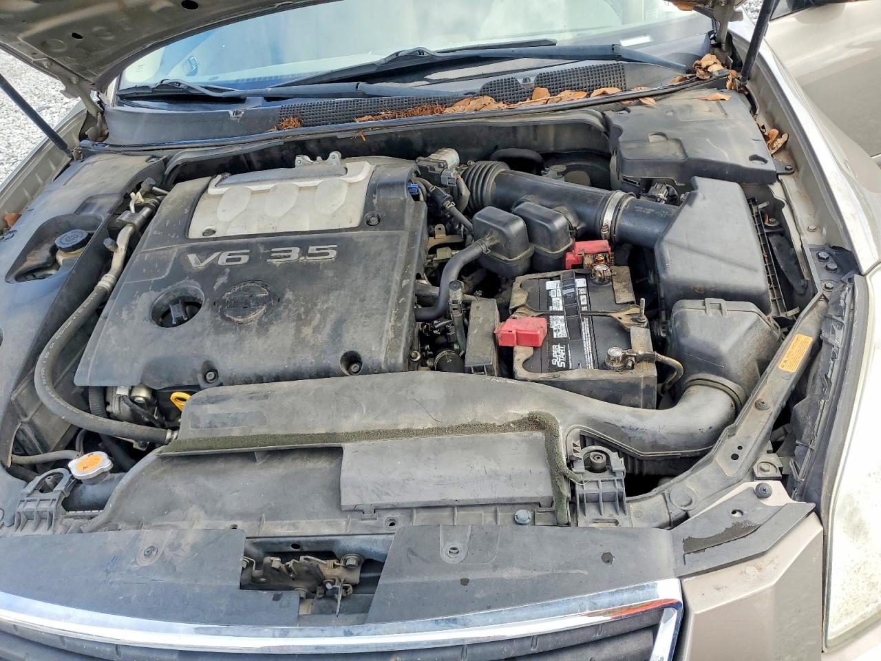 2008 Nissan Maxima Tan vin: 1N4BA41E68C839139