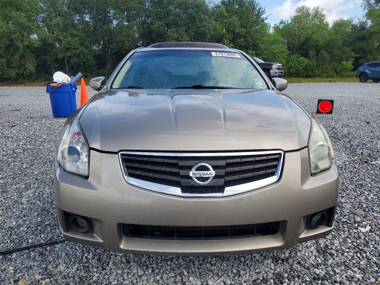 2008 Nissan Maxima Tan vin: 1N4BA41E68C839139