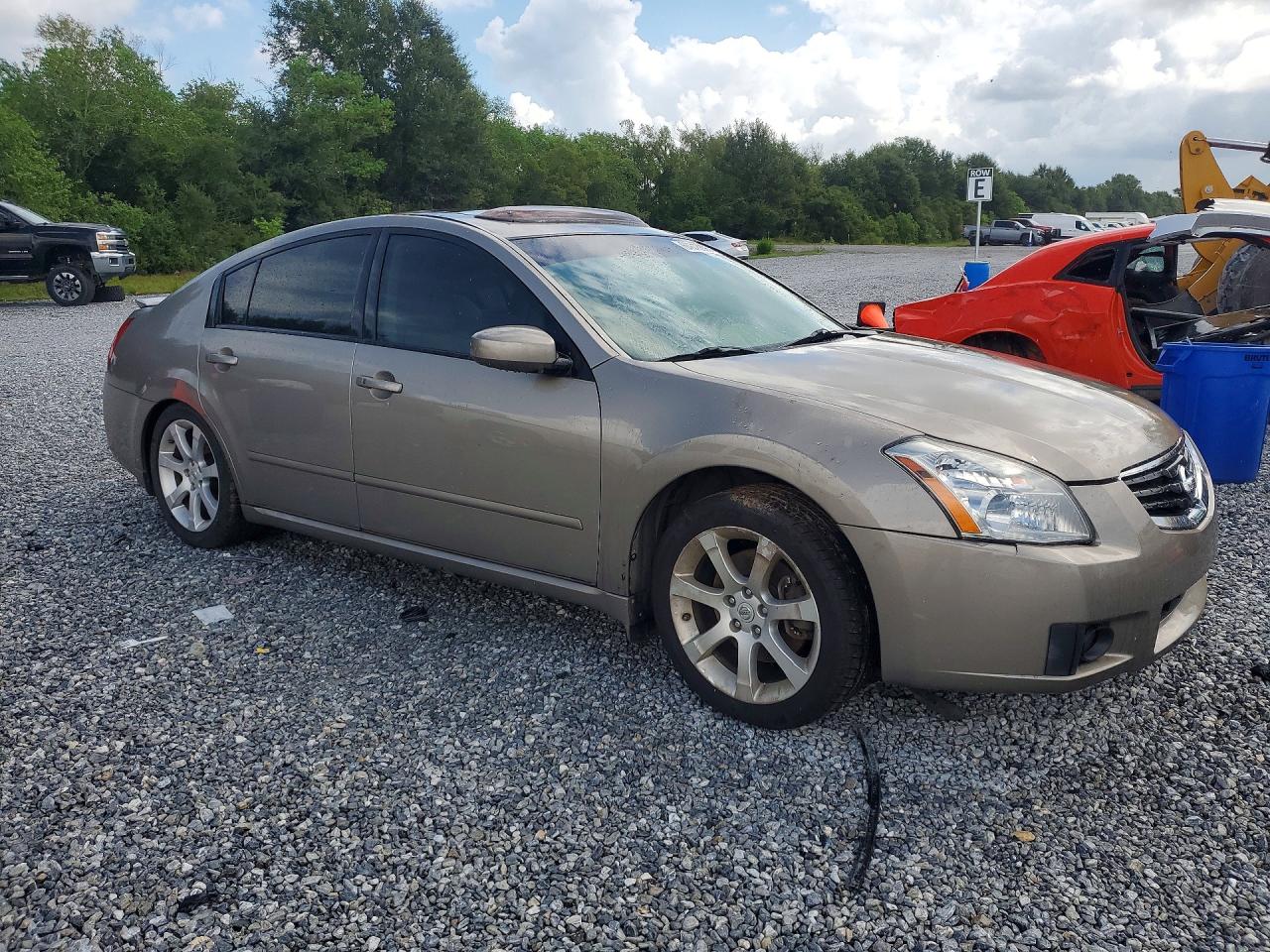 2008 Nissan Maxima Tan vin: 1N4BA41E68C839139