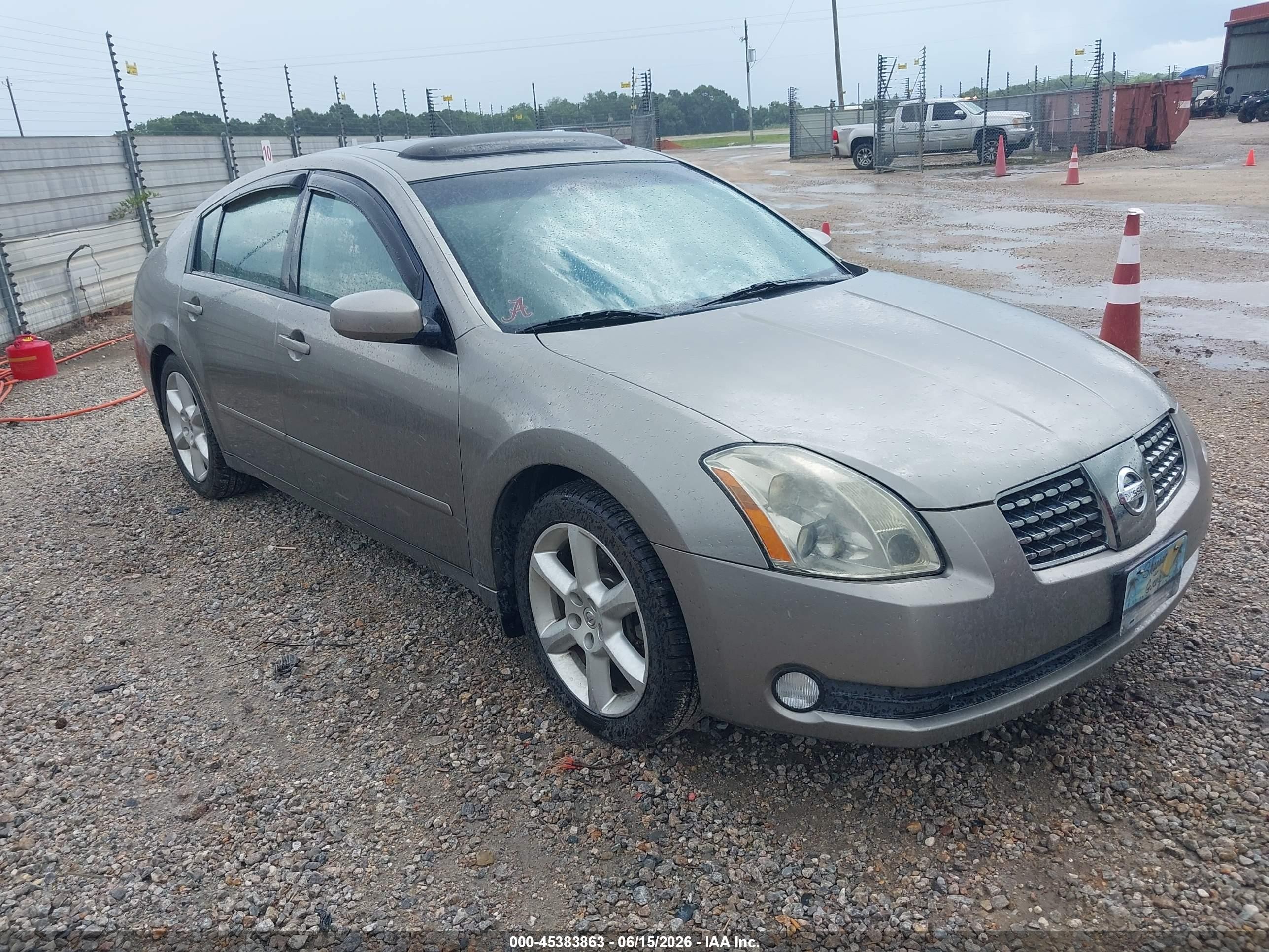 2004 Nissan Maxima 3.5 Se Gold vin: 1N4BA41E74C813076