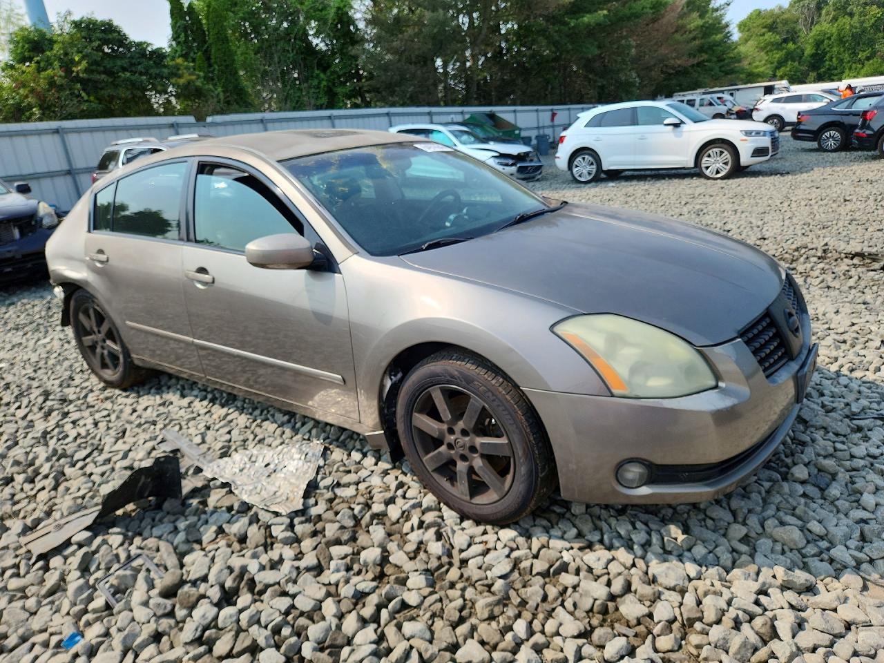 2004 Nissan Maxima 3.5 Se Серый vin: 1N4BA41E74C833893