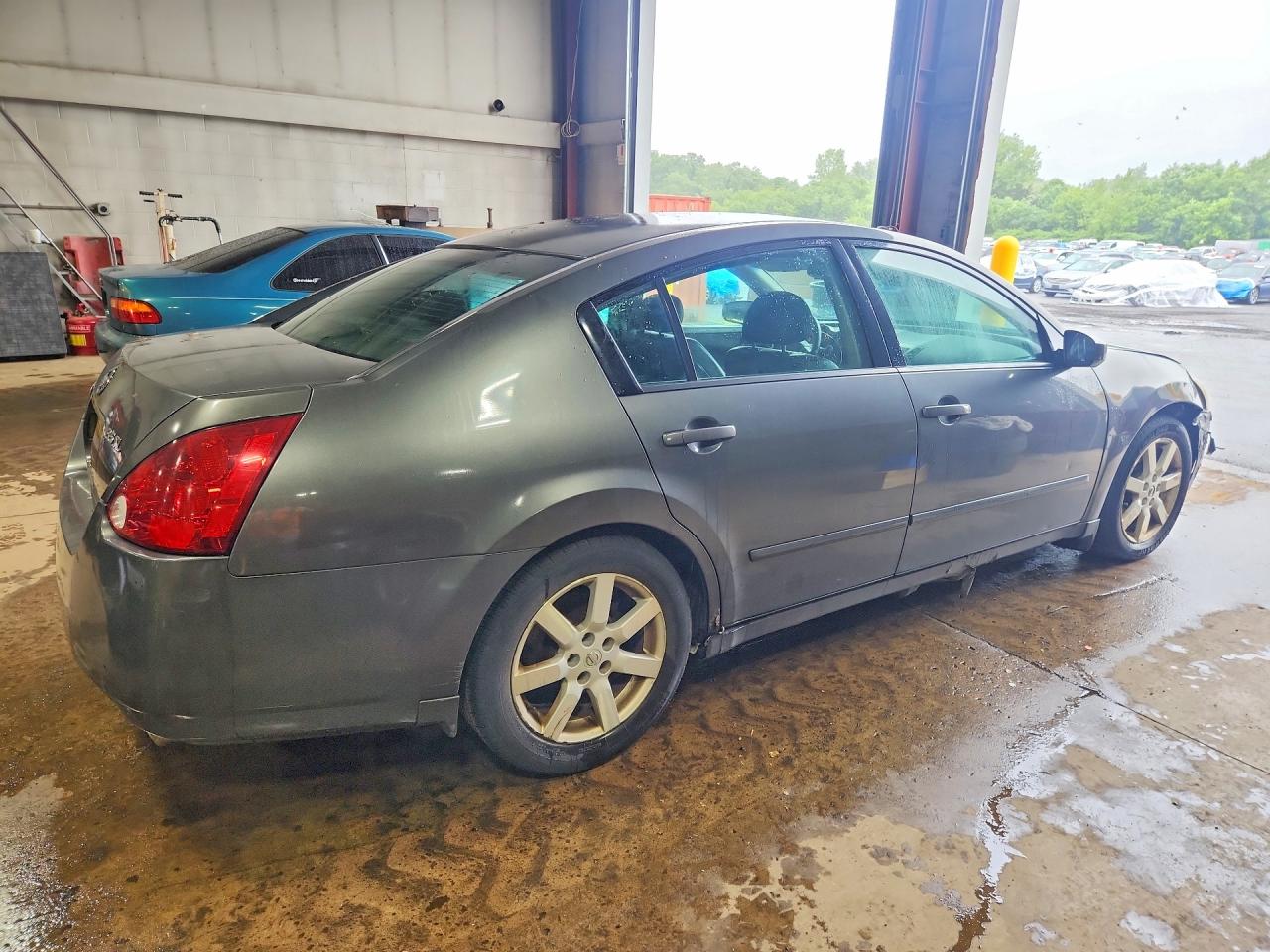 2004 Nissan Maxima Se/sl Gray vin: 1N4BA41E74C916790