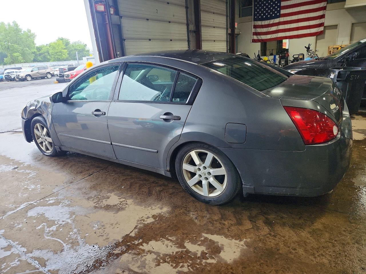 2004 Nissan Maxima Se/sl Gray vin: 1N4BA41E74C916790