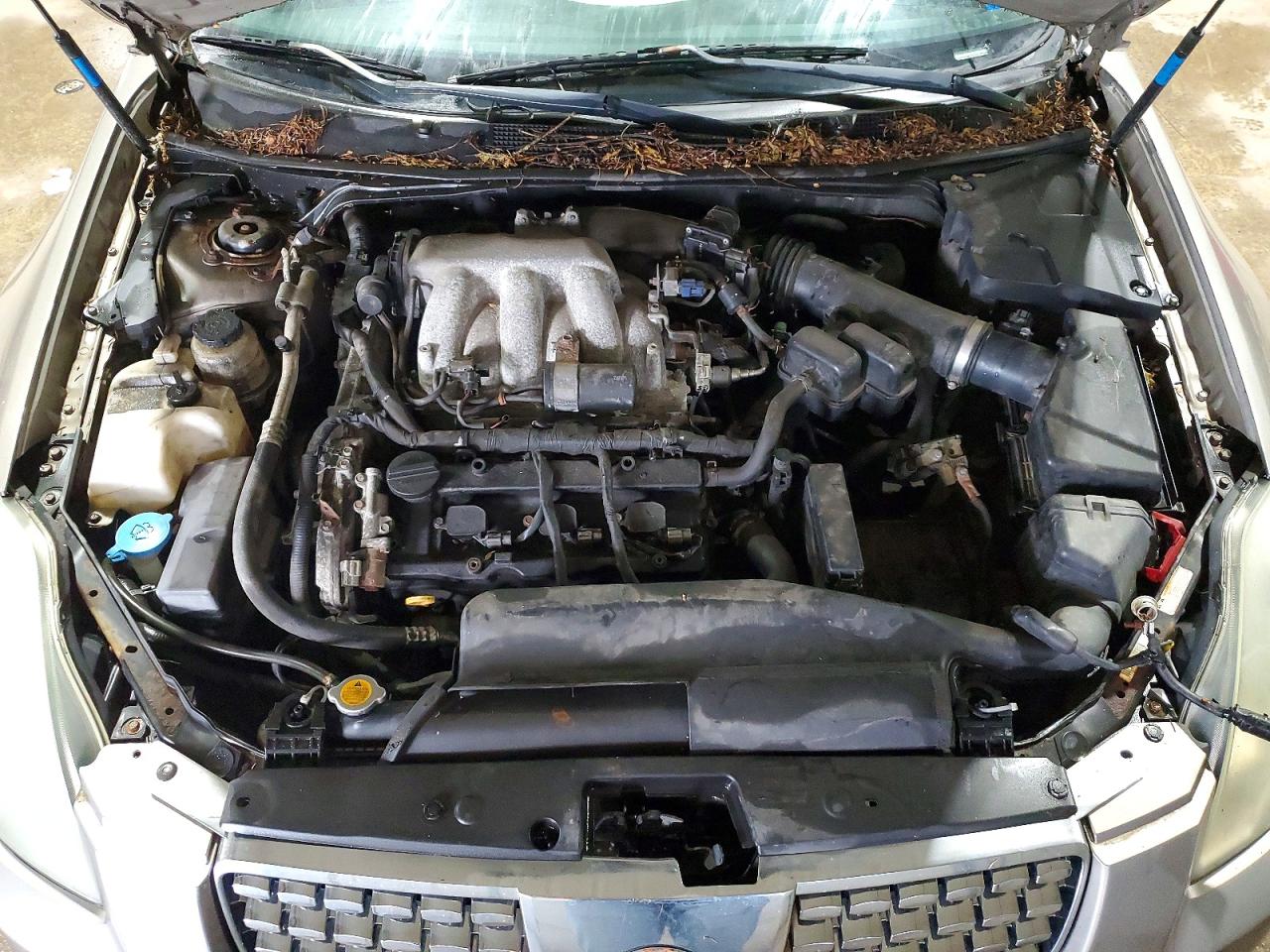 2006 Nissan Maxima Gray vin: 1N4BA41E76C803599