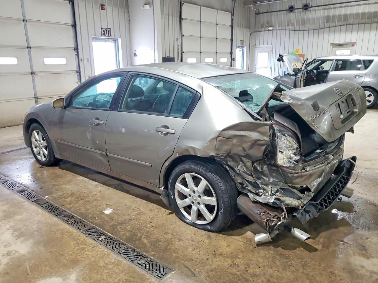 2006 Nissan Maxima Gray vin: 1N4BA41E76C803599