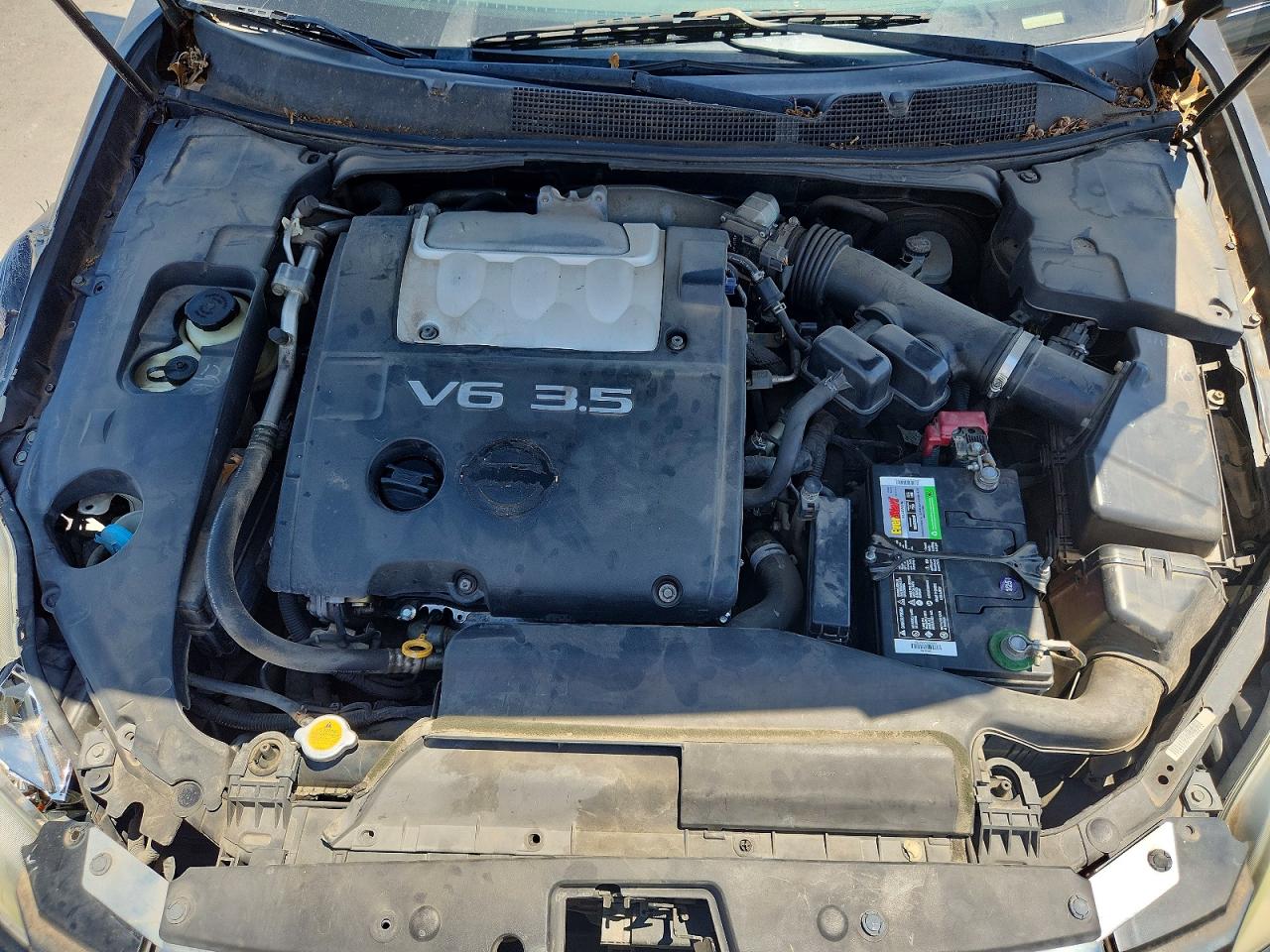 2006 Nissan Maxima 3.5 Se Black vin: 1N4BA41E76C828955