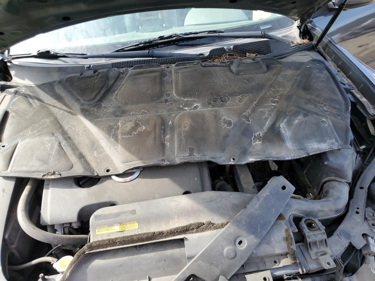 2007 Nissan Maxima Blue vin: 1N4BA41E77C819139