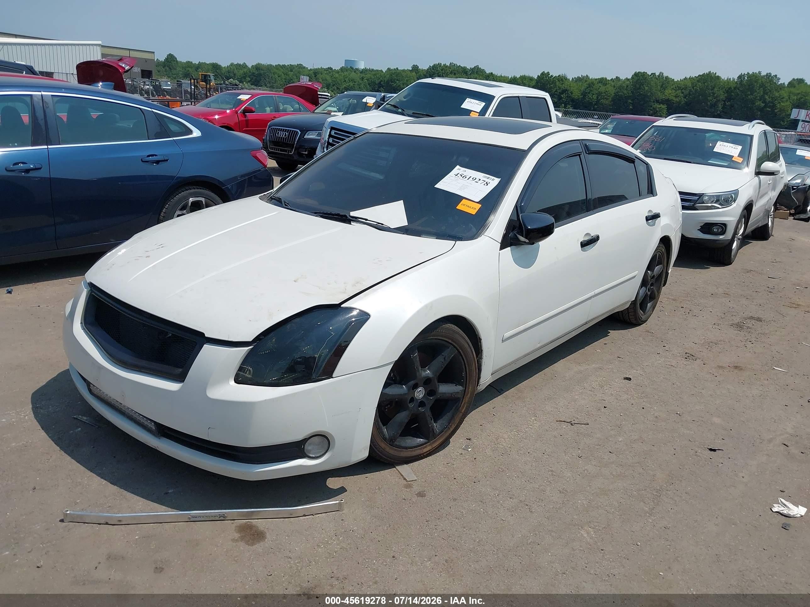 2004 Nissan Maxima 3.5 Se White vin: 1N4BA41E84C846345