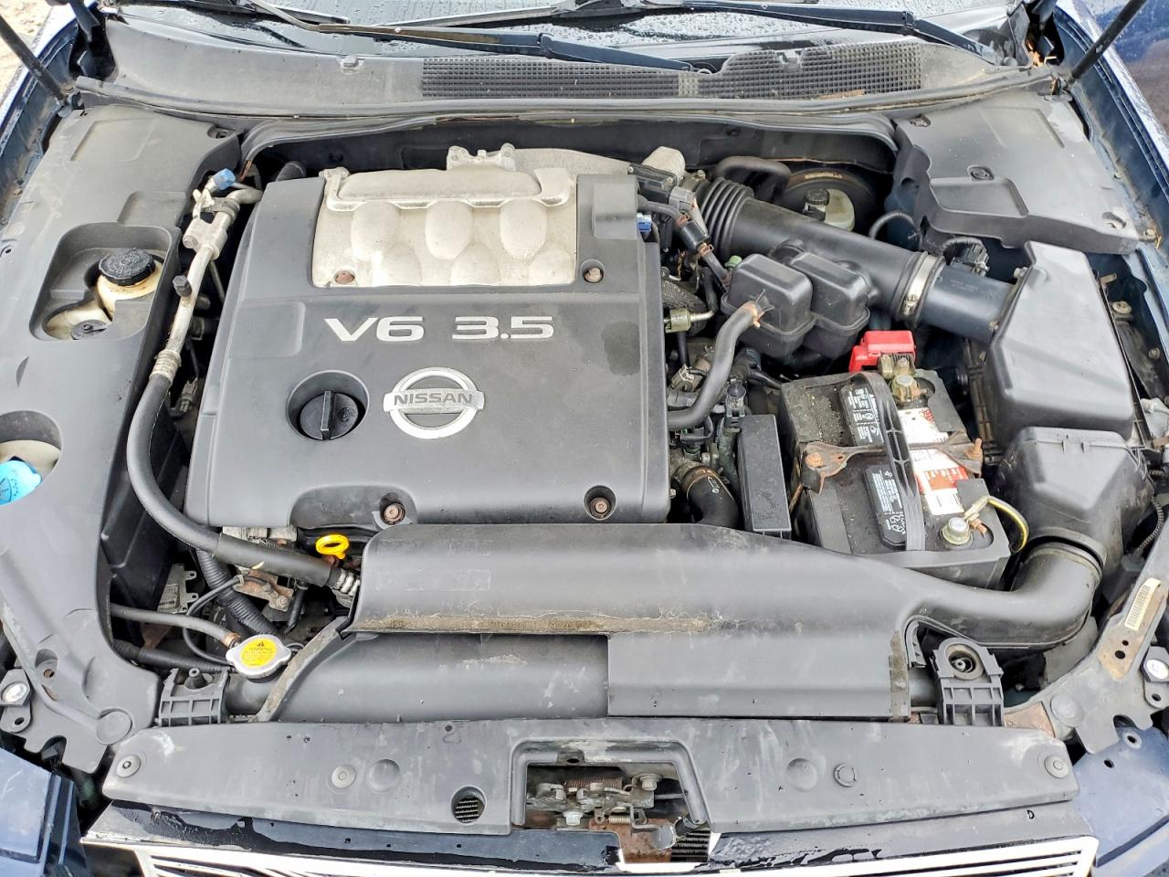 2004 Nissan Maxima 3.5 Se Blue vin: 1N4BA41E84C912604