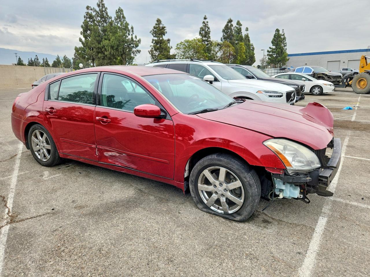 2004 Nissan Maxima 3.5 Se Red vin: 1N4BA41E84C922226
