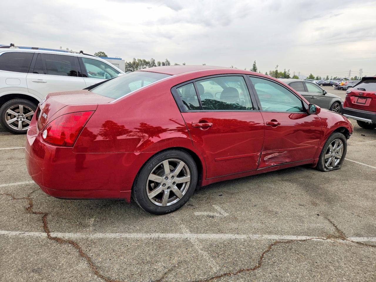 2004 Nissan Maxima 3.5 Se Red vin: 1N4BA41E84C922226