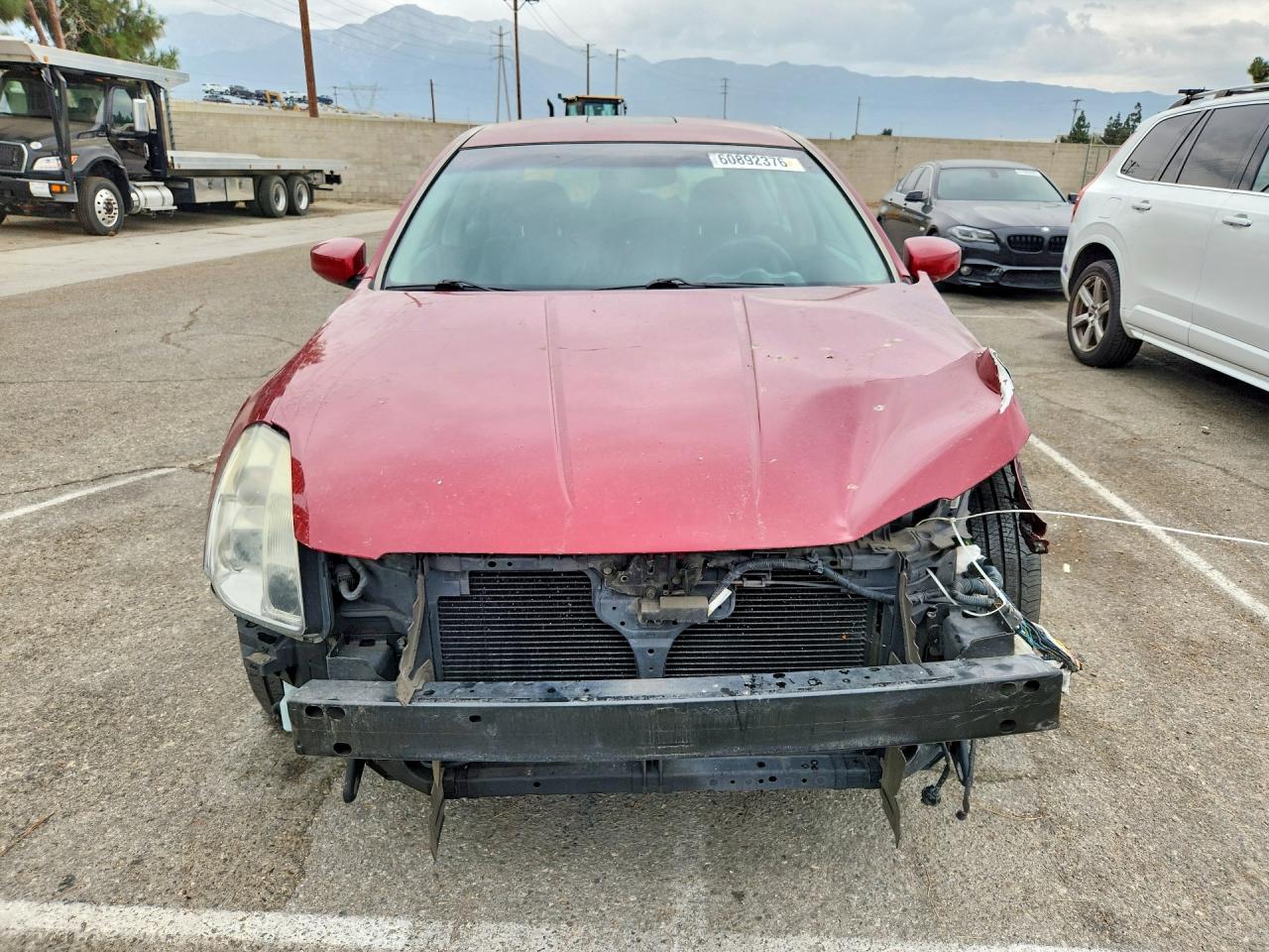 2004 Nissan Maxima 3.5 Se Red vin: 1N4BA41E84C922226