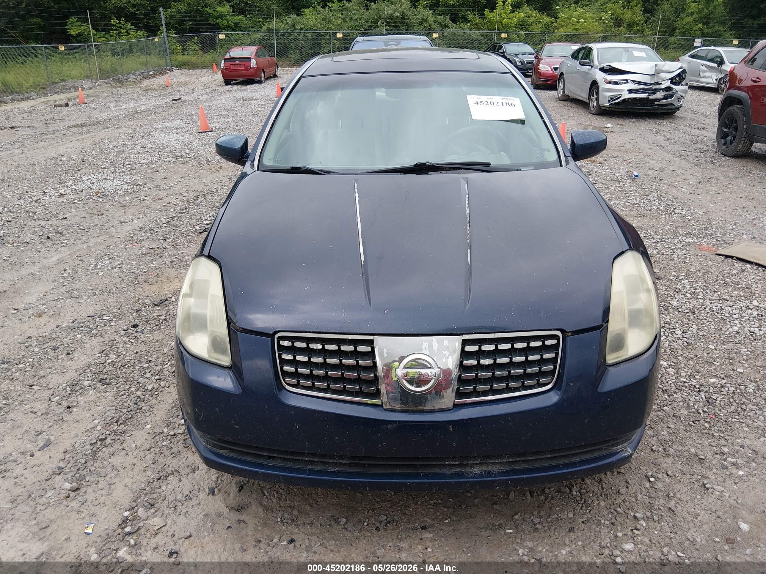 2005 Nissan Maxima 3.5 Se Blue vin: 1N4BA41E85C817221