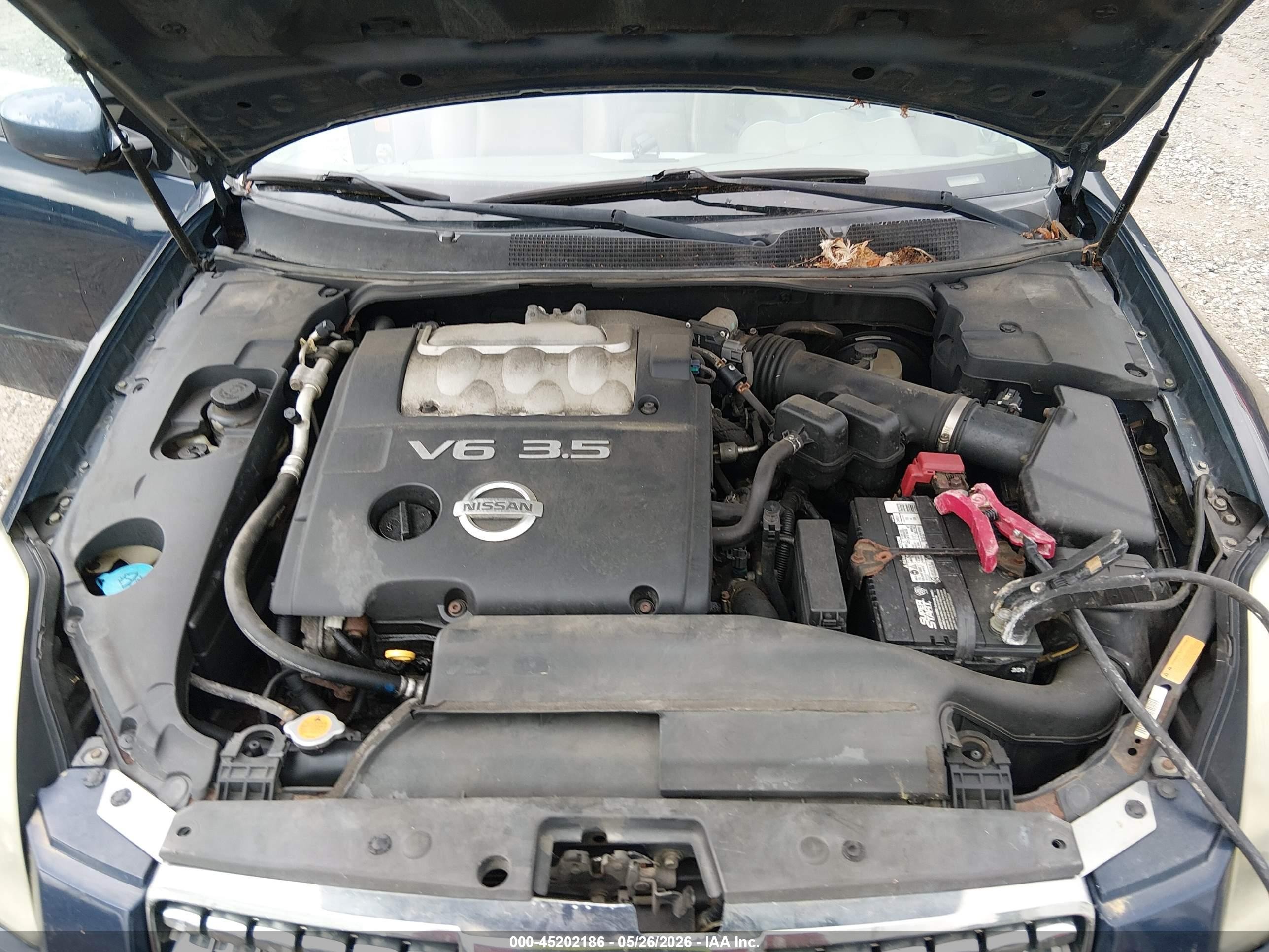 2005 Nissan Maxima 3.5 Se Blue vin: 1N4BA41E85C817221