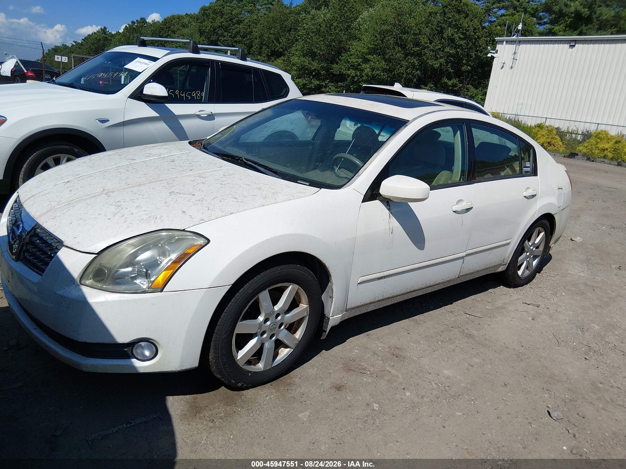 2005 Nissan Maxima 3.5 Sl White vin: 1N4BA41E85C837923