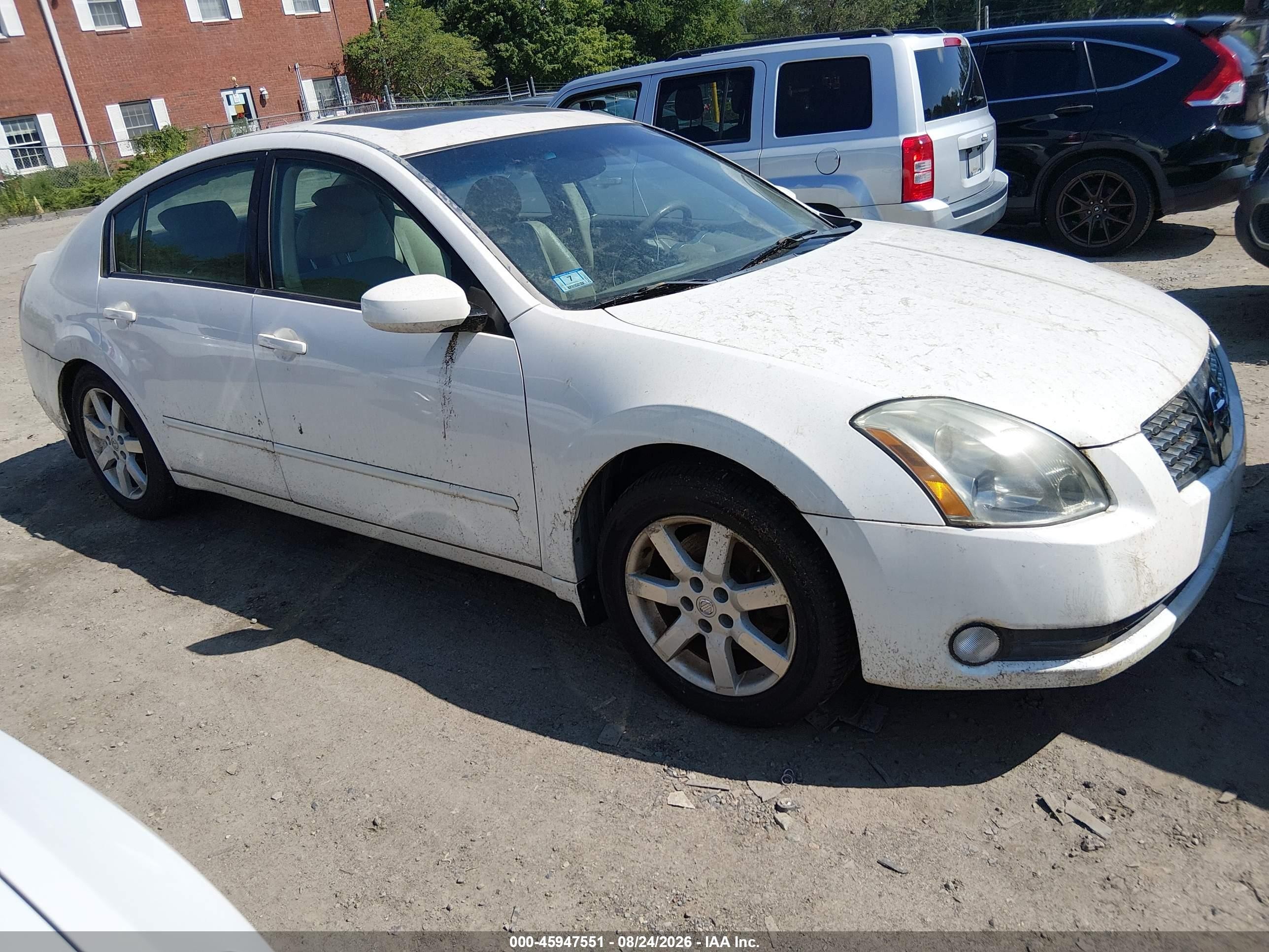 2005 Nissan Maxima 3.5 Sl Белый vin: 1N4BA41E85C837923