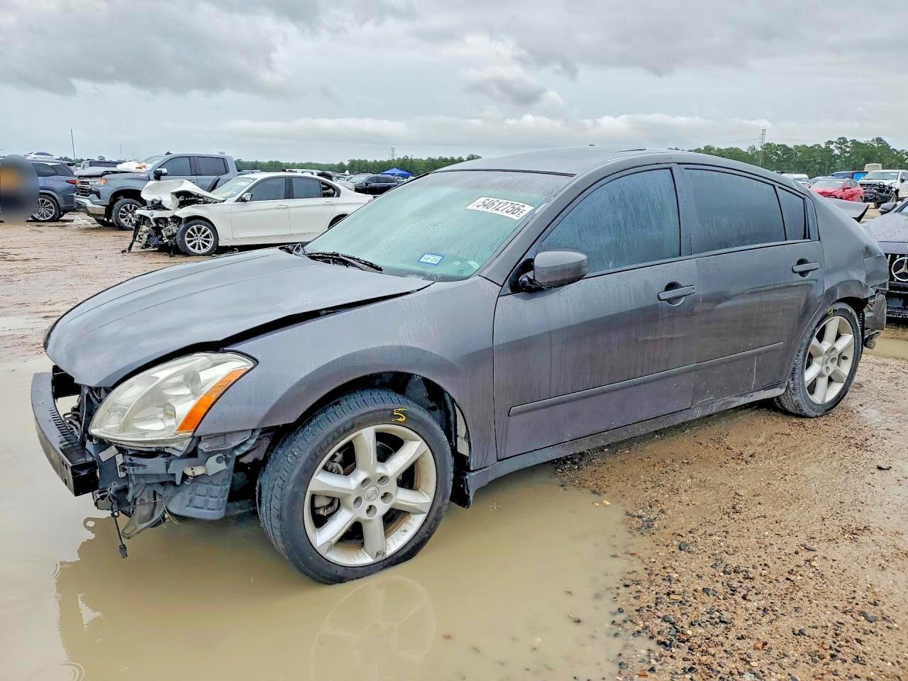 2006 Nissan Maxima Gray vin: 1N4BA41E86C818192