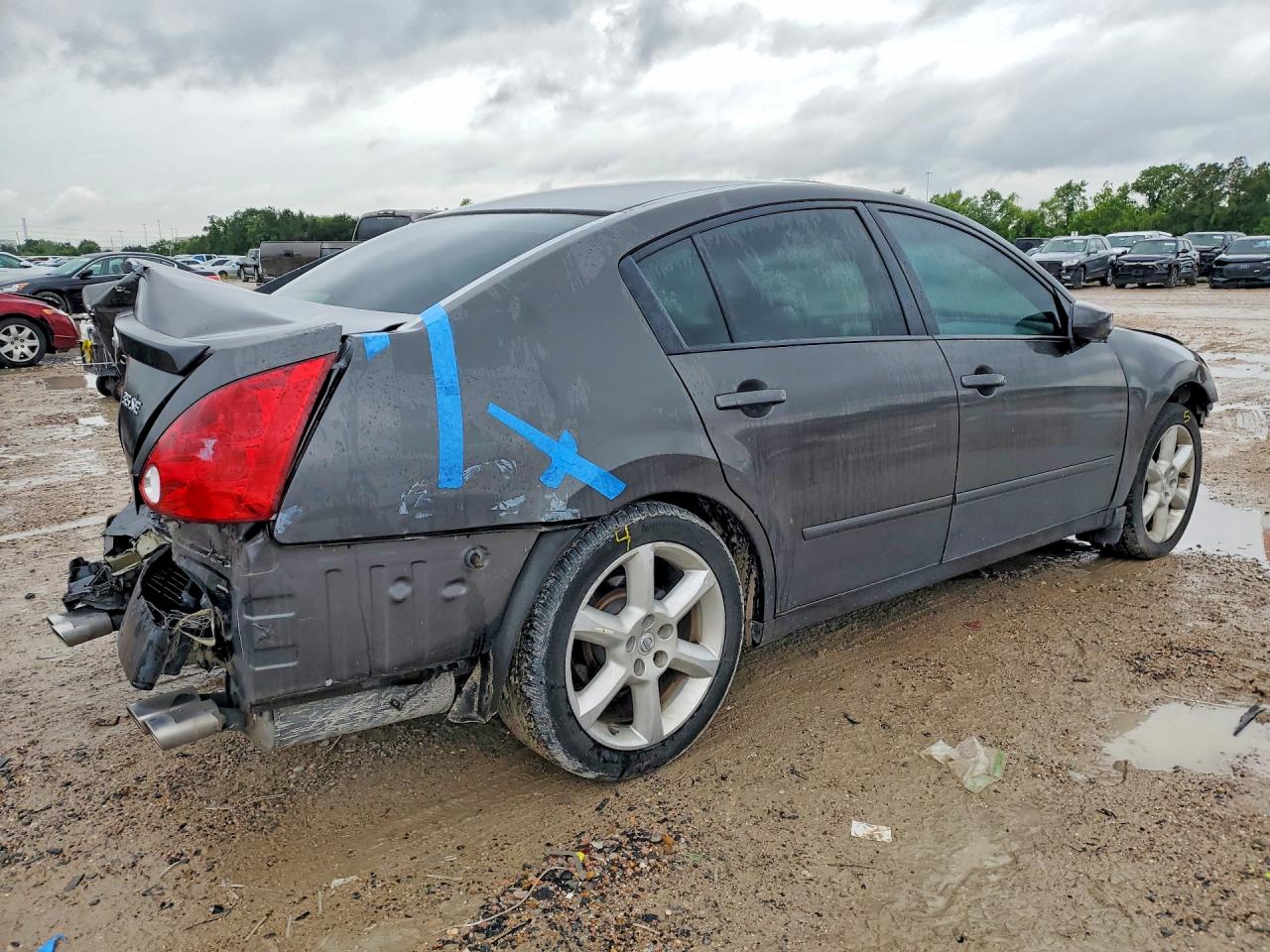 2006 Nissan Maxima Gray vin: 1N4BA41E86C818192