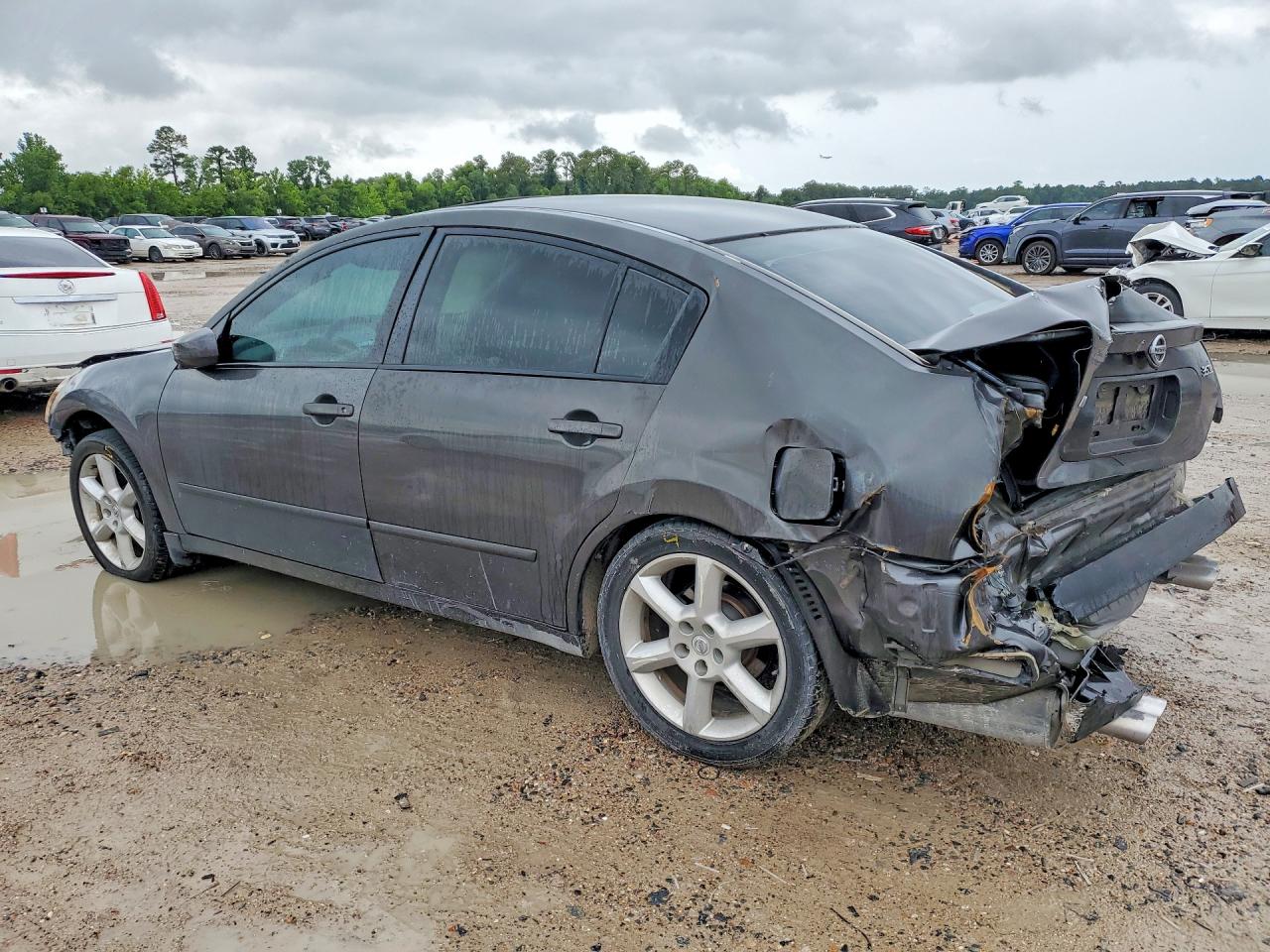 2006 Nissan Maxima Gray vin: 1N4BA41E86C818192