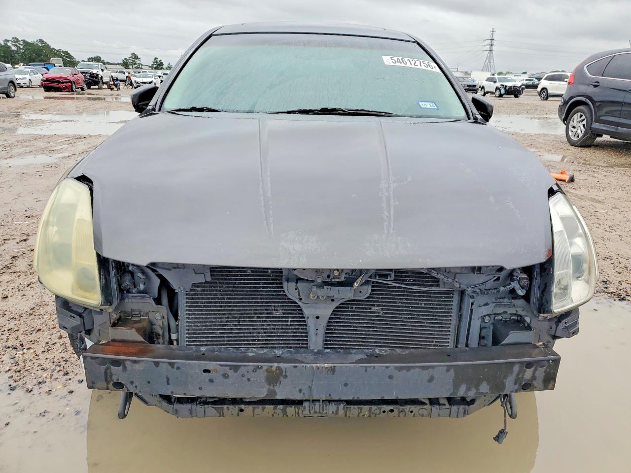 2006 Nissan Maxima Gray vin: 1N4BA41E86C818192