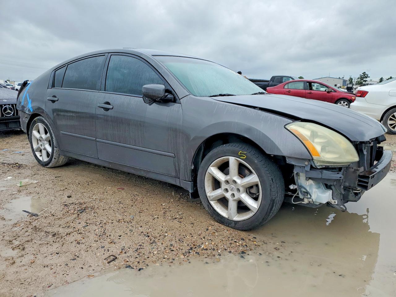 2006 Nissan Maxima Gray vin: 1N4BA41E86C818192