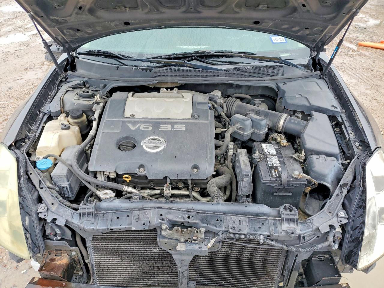 2006 Nissan Maxima Gray vin: 1N4BA41E86C818192