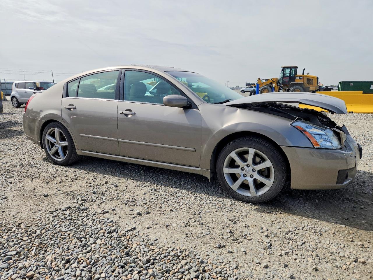 2007 Nissan Maxima 3.5 Se Tan vin: 1N4BA41E87C830215