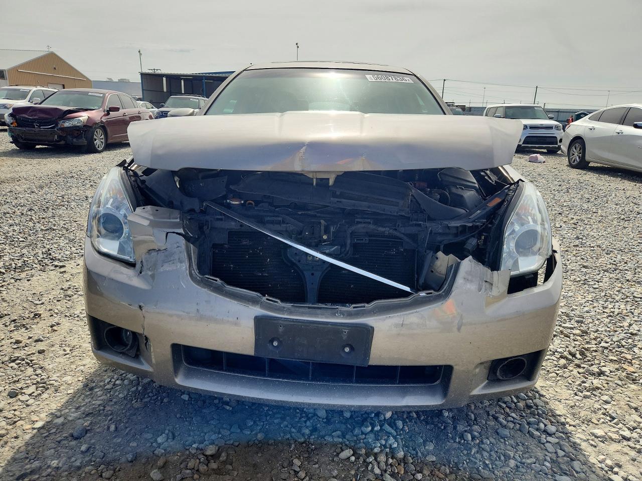2007 Nissan Maxima 3.5 Se Tan vin: 1N4BA41E87C830215