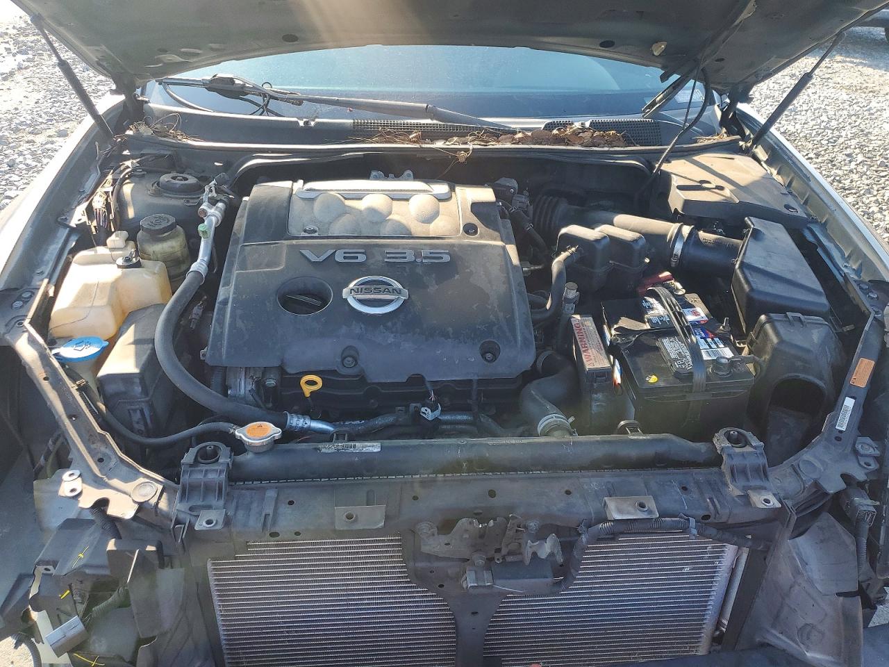 2007 Nissan Maxima 3.5 Se Серый vin: 1N4BA41E87C858662