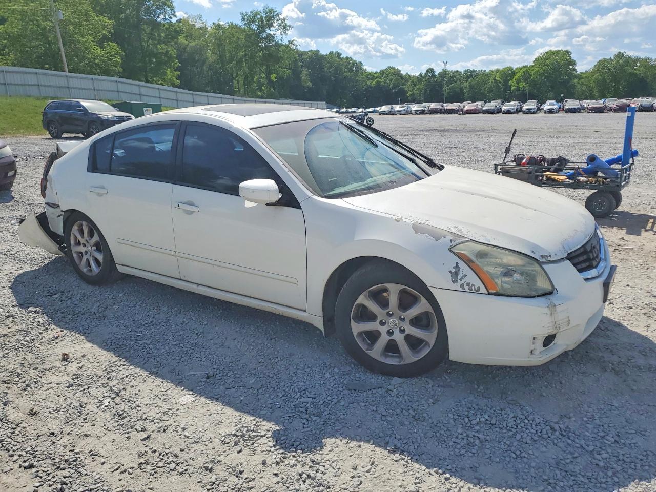 2008 Nissan Maxima 3.5 Se White vin: 1N4BA41E88C819670